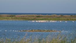 Λιμνοθάλασσα Αλυκή - Lagoon Aliki - Lagune Aliki