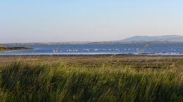 Λιμνοθάλασσα Αλυκή - Lagoon Aliki - Lagune Aliki