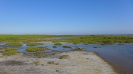 Λιμνοθάλασσα Αλυκή - Lagoon Aliki - Lagune Aliki