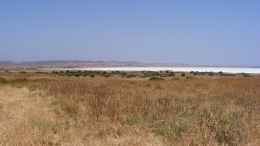 Λιμνοθάλασσα Αλυκή - Lagoon Aliki - Lagune Aliki