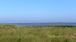 Λιμνοθάλασσα Αλυκή - Lagoon Aliki - Lagune Aliki