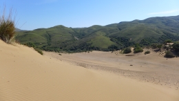 Αμμοθίνες - Sand dunes - Sanddünen