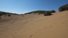 Αμμοθίνες - Sand dunes - Sanddünen