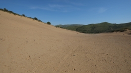 Αμμοθίνες - Sand dunes - Sanddünen