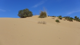 Αμμοθίνες - Sand dunes - Sanddünen