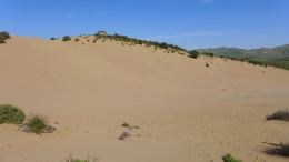 Αμμοθίνες - Sand dunes - Sanddünen