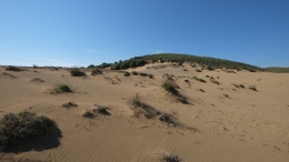 Αμμοθίνες - Sand dunes - Sanddünen