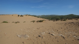 Αμμοθίνες - Sand dunes - Sanddünen