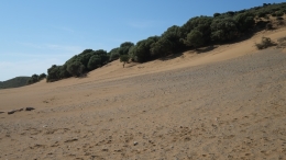 Αμμοθίνες - Sand dunes - Sanddünen