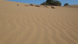 Αμμοθίνες - Sand dunes - Sanddünen