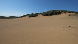 Αμμοθίνες - Sand dunes - Sanddünen