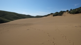 Αμμοθίνες - Sand dunes - Sanddünen