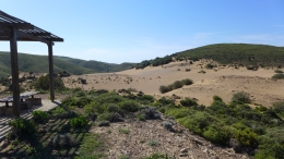 Αμμοθίνες - Sand dunes - Sanddünen