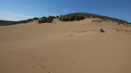 Αμμοθίνες - Sand dunes - Sanddünen