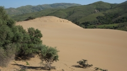 Αμμοθίνες - Sand dunes - Sanddünen