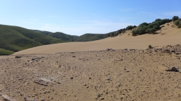 Αμμοθίνες - Sand dunes - Sanddünen