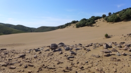 Αμμοθίνες - Sand dunes - Sanddünen