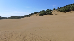 Αμμοθίνες - Sand dunes - Sanddünen