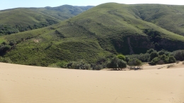 Αμμοθίνες - Sand dunes - Sanddünen