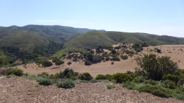 Αμμοθίνες - Sand dunes - Sanddünen