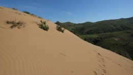 Αμμοθίνες - Sand dunes - Sanddünen