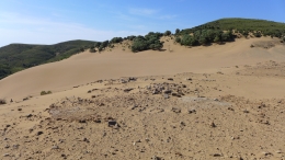 Αμμοθίνες - Sand dunes - Sanddünen