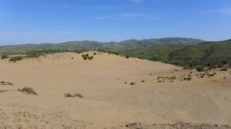 Αμμοθίνες - Sand dunes - Sanddünen