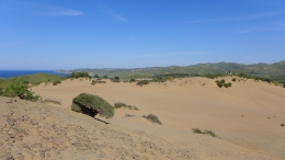 Αμμοθίνες - Sand dunes - Sanddünen