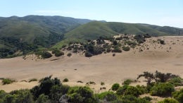 Αμμοθίνες - Sand dunes - Sanddünen