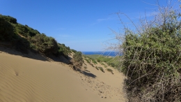 Αμμοθίνες - Sand dunes - Sanddünen