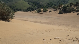 Αμμοθίνες - Sand dunes - Sanddünen