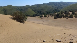 Αμμοθίνες - Sand dunes - Sanddünen