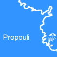 Propouli